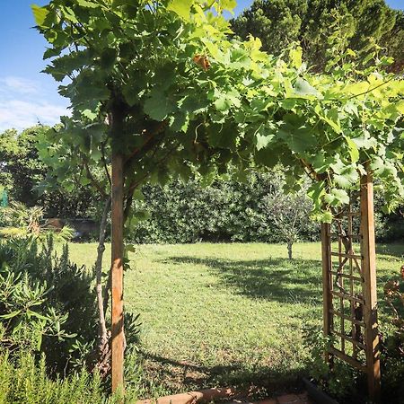 Orangeraie Du Cap D'Antibes Apartment Ngoại thất bức ảnh